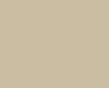 Opulent Beige